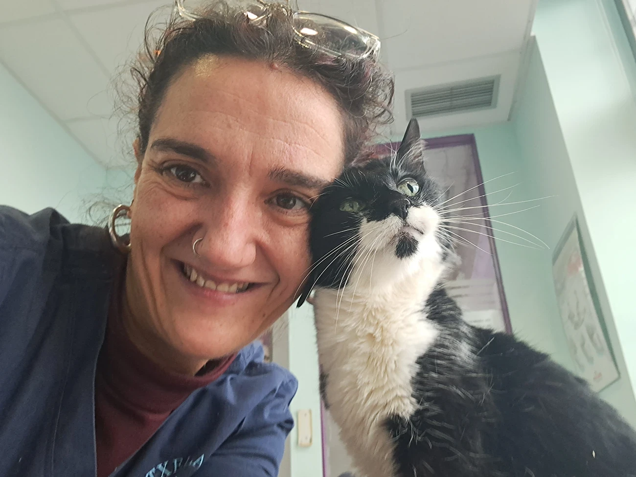 Clínica veterinaria especializada en el cuidado de mascotas Clínica veterinaria especializada en el cuidado de mascotas